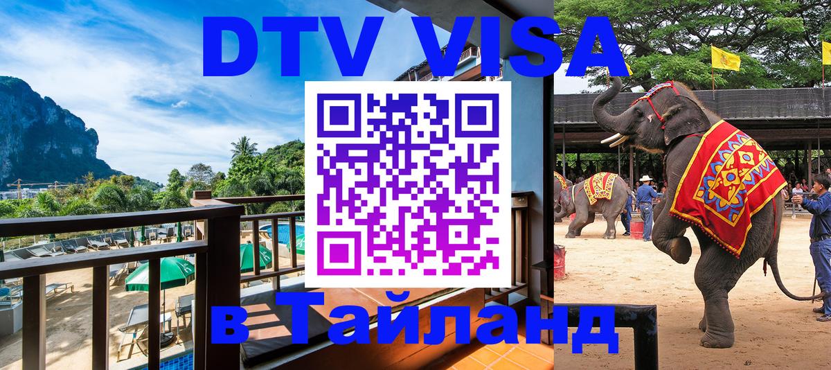 Сколько стоит виза DTV в Тайланд Тверь 
